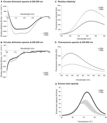 Antioxidative Potency of Dolphin Serum Albumin Is Stronger Than That of Human Serum Albumin Irrespective of Substitution of 34Cysteine With Serine
